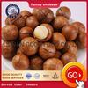 Orzechy makadamia