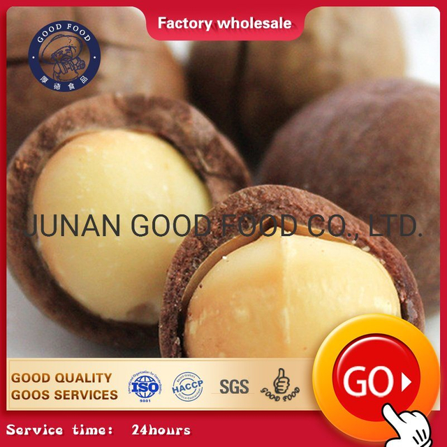 Orzechy makadamia