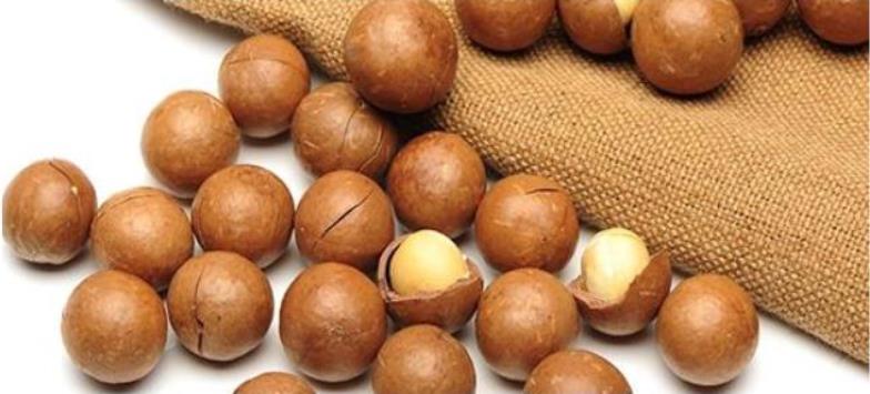 Orzechy makadamia